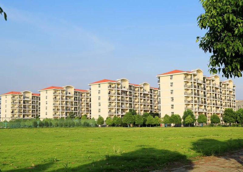 系统集成：构建业务发展的新引擎